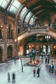 an instagram photo of the natural history museum