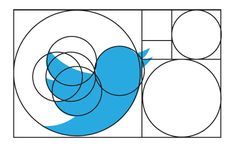 a blue bird sitting on top of a white and black circle with circles around it