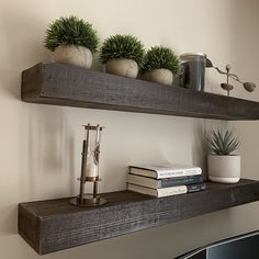 two wooden shelves with plants and books on them