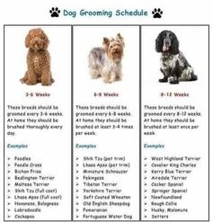 four different types of dogs are shown in this chart, which shows the dog grooming schedule