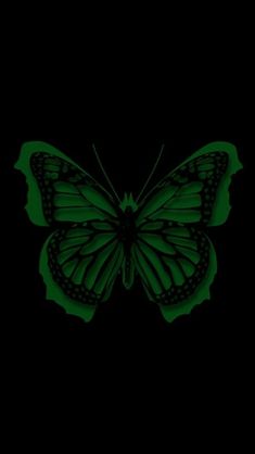 a green butterfly on a black background