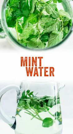 mint water in a glass pitcher with the words mint water above it and below it