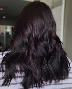 Dark Brown Hair With Hints Of Purple, Eggplant Black Hair, Purple Toned Black Hair, Dark Hair Violet Undertone, Black Hair With Violet Undertone, Dark Brown With Plum Highlights, Dark Plum Black Hair, Midnight Violet Black Hair Color, Deep Eggplant Hair Color