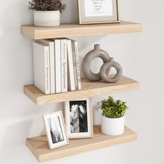 two wooden shelves with books and pictures on them next to a potted green plant