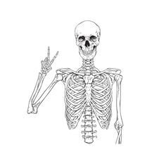 the skeleton is shown in this black and white drawing, it appears to be pointing at something