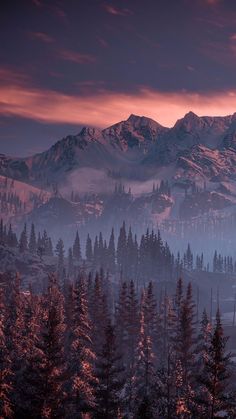 the mountains are covered with fog and trees in the foreground, as the sun sets