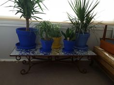 four potted plants on a table in front of a window with a wooden bench