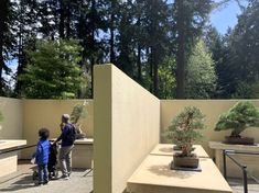 two children looking at bonsai trees on display in an outdoor area with stone walls