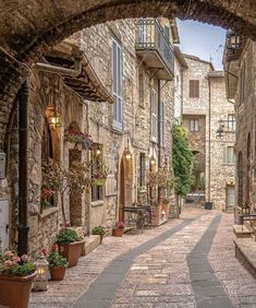 an alley way with potted plants and flowers on either side, surrounded by stone buildings