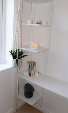 a corner shelf in the corner of a room with some books on it and a potted plant