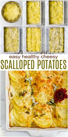 an image of scalloped potatoes in baking pans with text overlay that reads easy healthy cheesy scalloped potatoes