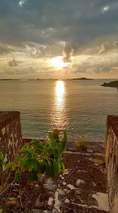 the sun is setting over the water from an old building near some rocks and plants