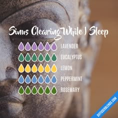 Doterra Diffuser Blends For Sinus Congestion, Essential Oil Diffuser Sinus Congestion, Diffuser Blends For Colds At Night, Congested Diffuser Blend, Doterra Sinus Diffuser, Sinus Sleep Diffuser Blend, Essential Oil Diffuser Blends For Congestion, Diffuser Blend For Sinus Congestion, Diffuser Congestion Blend