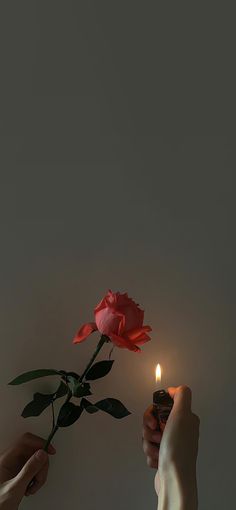 two hands holding a single rose with a lighter in front of it and the other hand holding a lit candle