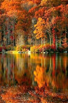 a lake surrounded by lots of trees covered in fall leaves and oranges with the colors changing from red to yellow