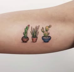 three small cactus tattoos on the right arm and left arm, one with a potted plant in it