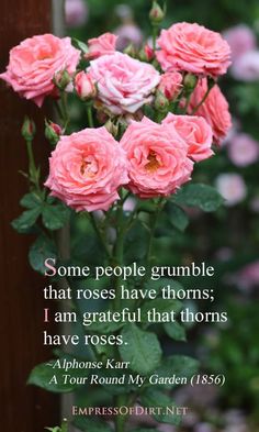 some people grumble that roses have thorns i am grateful that thorns have roses