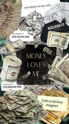 money loves me poster with the words, i can't money makes you happy