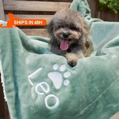 a small dog laying on top of a blanket with its tongue out and paw prints on it