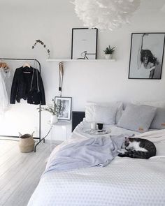 a black and white cat laying on top of a bed in a room with pictures above it