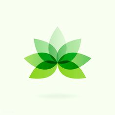 a green leaf logo on a white background