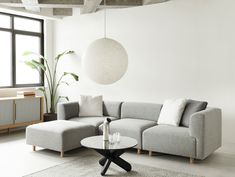 a living room with a couch, coffee table and potted plant in the corner