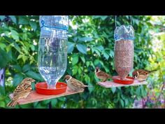 three birds are sitting on the feeders and one bird is drinking water from it