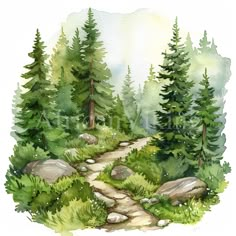 a watercolor painting of a path in the woods