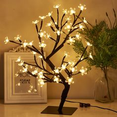 a small tree with white lights on it next to a potted plant and framed photograph