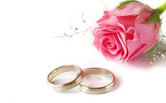 two gold wedding rings next to a pink rose on a white background with baby's breath