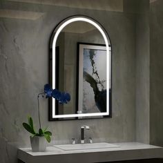 a bathroom sink with a large mirror above it and a plant in front of it