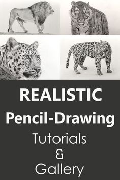 the front cover of realistic pencil - drawing, with four different types of animals in black and white