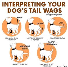 a poster with instructions on how to use the dog's tail wagging