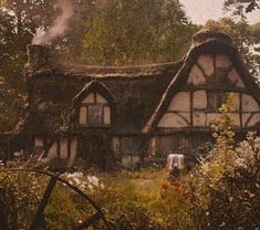 an old thatched roof house in the middle of a wooded area with flowers and trees