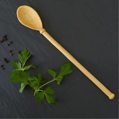 a wooden spoon sitting next to some parsley