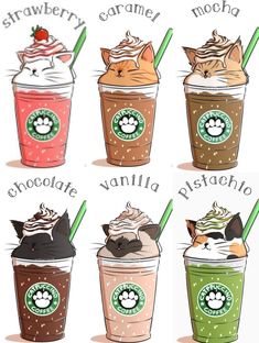 four different types of coffees with cats on the top one is chocolate, vanilla, and starbucks