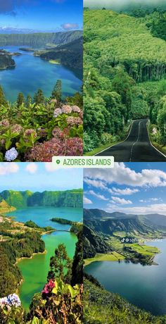 four different views of the land and water that is in this region, including mountains, trees, and lakes