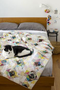 a black and white cat laying on top of a bed