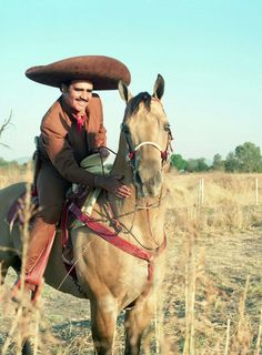 a man riding on the back of a brown horse in a field with tall grass