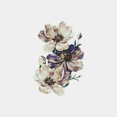 three white and purple flowers on a white background