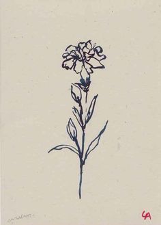 a drawing of a flower on a white background