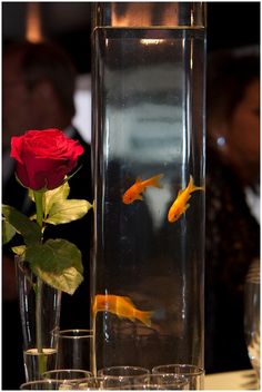 a vase filled with water and goldfish next to a red rose