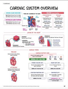 an overview of the cardiol system and how it is used to help students learn