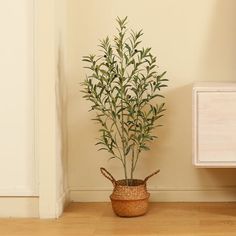 a potted plant sitting on the floor next to a white dresser and cabinet in a room