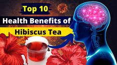 the top 10 health benefits of hibiscus tea