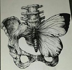 a black and white drawing of a human skeleton with a butterfly on it's back