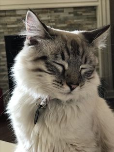 a cat sitting on top of a table next to a fire place with it's eyes closed