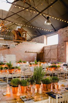 tables and chairs are set up for an event with lights strung from the ceiling above them