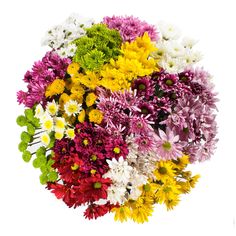 a bunch of different colored flowers on a white background