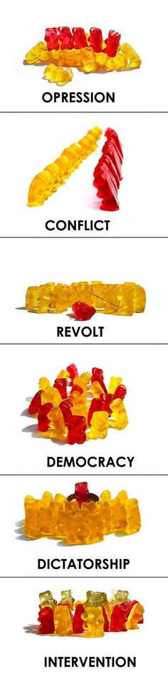 the different types of gummy bears are shown in this graphic above it is an image of